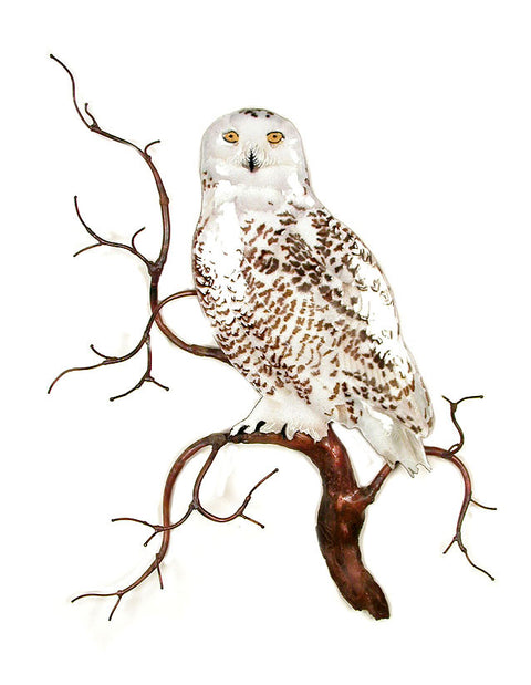 Snowy Owl on Branch Wall Art by Bovano Cheshire