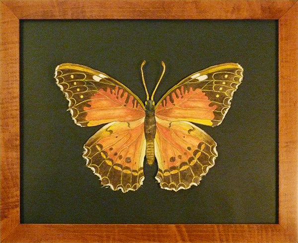 Large Orange Butterfly by Susan Daul