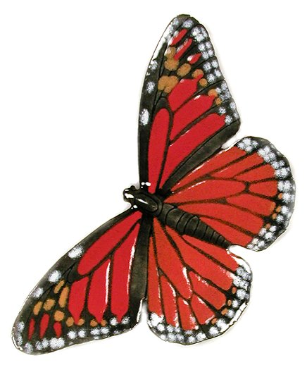 Monarch Open Wing Wall Art by Bovano Cheshire