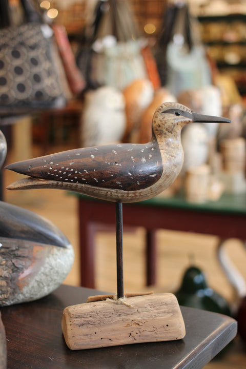 Spotted Sandpiper by Paul Irving