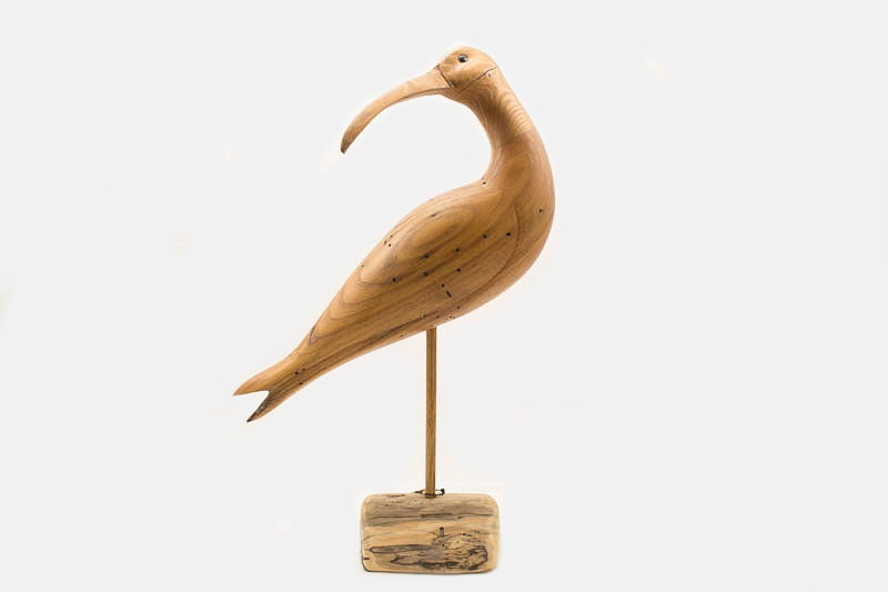 Looking Curlew in Chestnut by Paul Irving