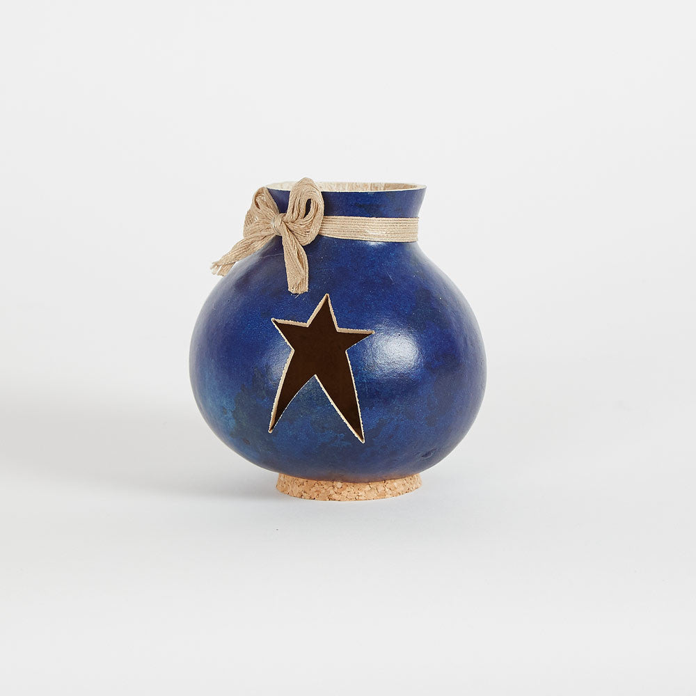 Patriotic Star Vase Gourd