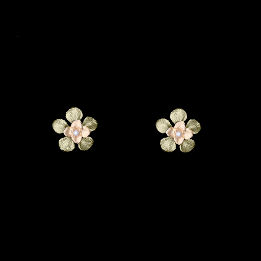 Desert Flower Stud Earrings by Michael Michaud