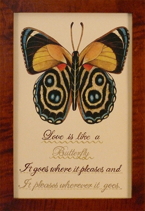 Love is Like a Butterfly by Susan Daul