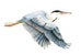 Heron, Flying Single - Large 2 piece Wall Art by Bovano