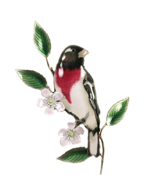 Rose-breasted Grosbeak on Apple Blossom Wall Art by Bovano