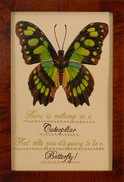 There is Nothing in a Caterpillar
