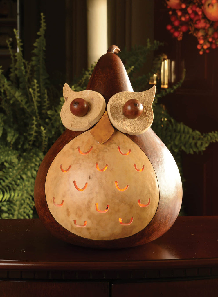 Professor Owl Gourd
