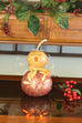 Angelina Gourd - Available in Multiple Sizes