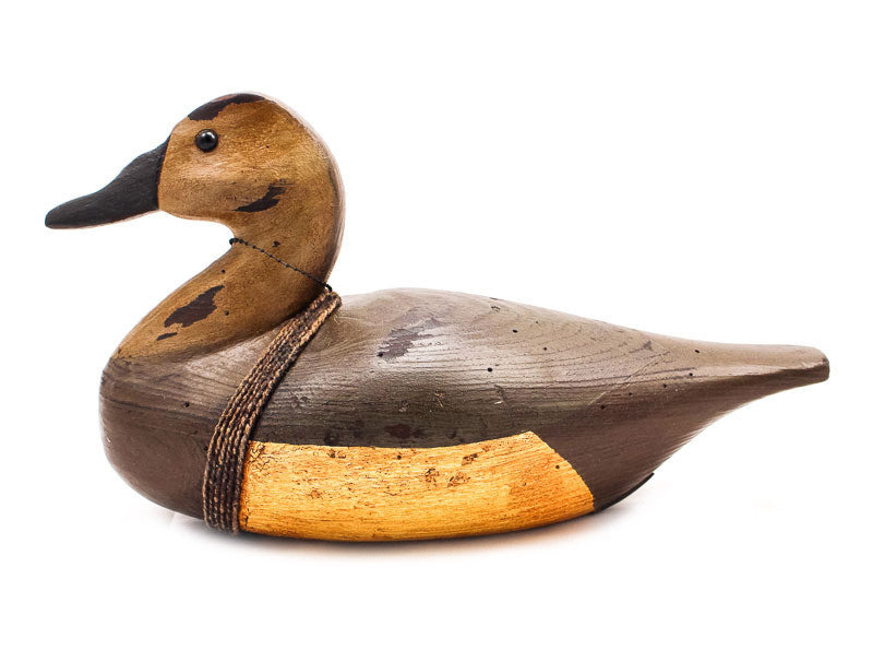 Dudley Hen Canvasback Drake