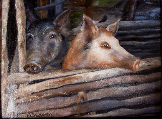 Belize Long - Snout Pigs by Barbara DeUgarte