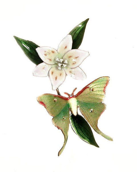 Luna Moth with White Lily Wall Art by Bovano Cheshire