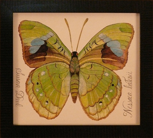 Green Butterfly by Susan Daul