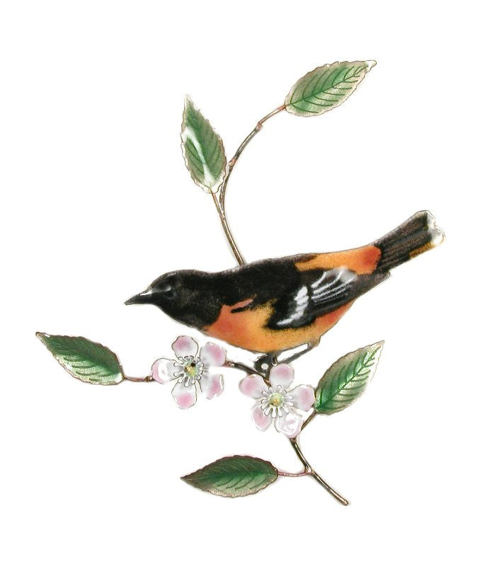 Baltimore Oriole on Apple Blossom Wall Art by Bovano Cheshire