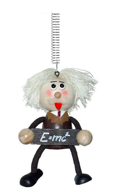 Einstein Handcrafted Wooden Jumpie
