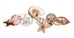 Small Starfish, Scallop, Sand Dollar, Nautilus, Auger, Starfish, Sea Urchin, Babylon - Wall Art by Bovano