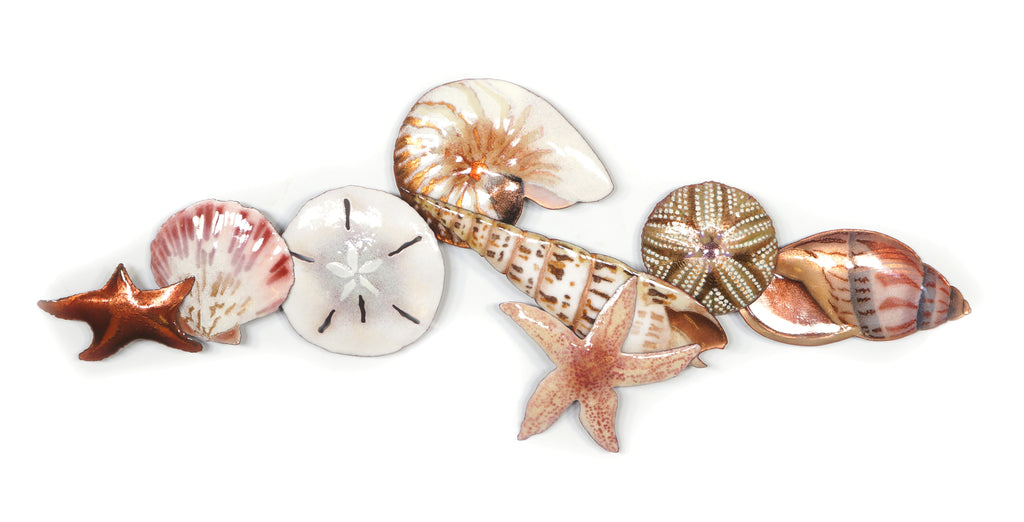 Small Starfish, Scallop, Sand Dollar, Nautilus, Auger, Starfish, Sea Urchin, Babylon - Wall Art by Bovano