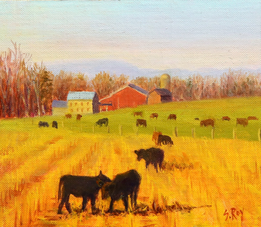 Cows in the Corn by Simonne Roy