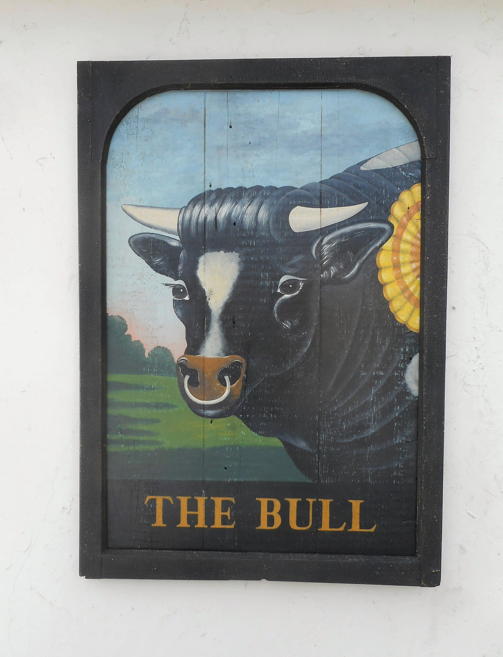 The Bull, Americana Art