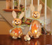 Poppy Bunny Gourd - Available in Multiple Sizes