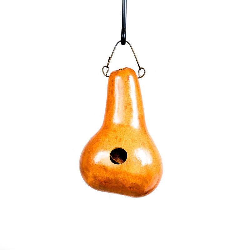 Wren Birdhouse Gourd - Available in Multiple Colors